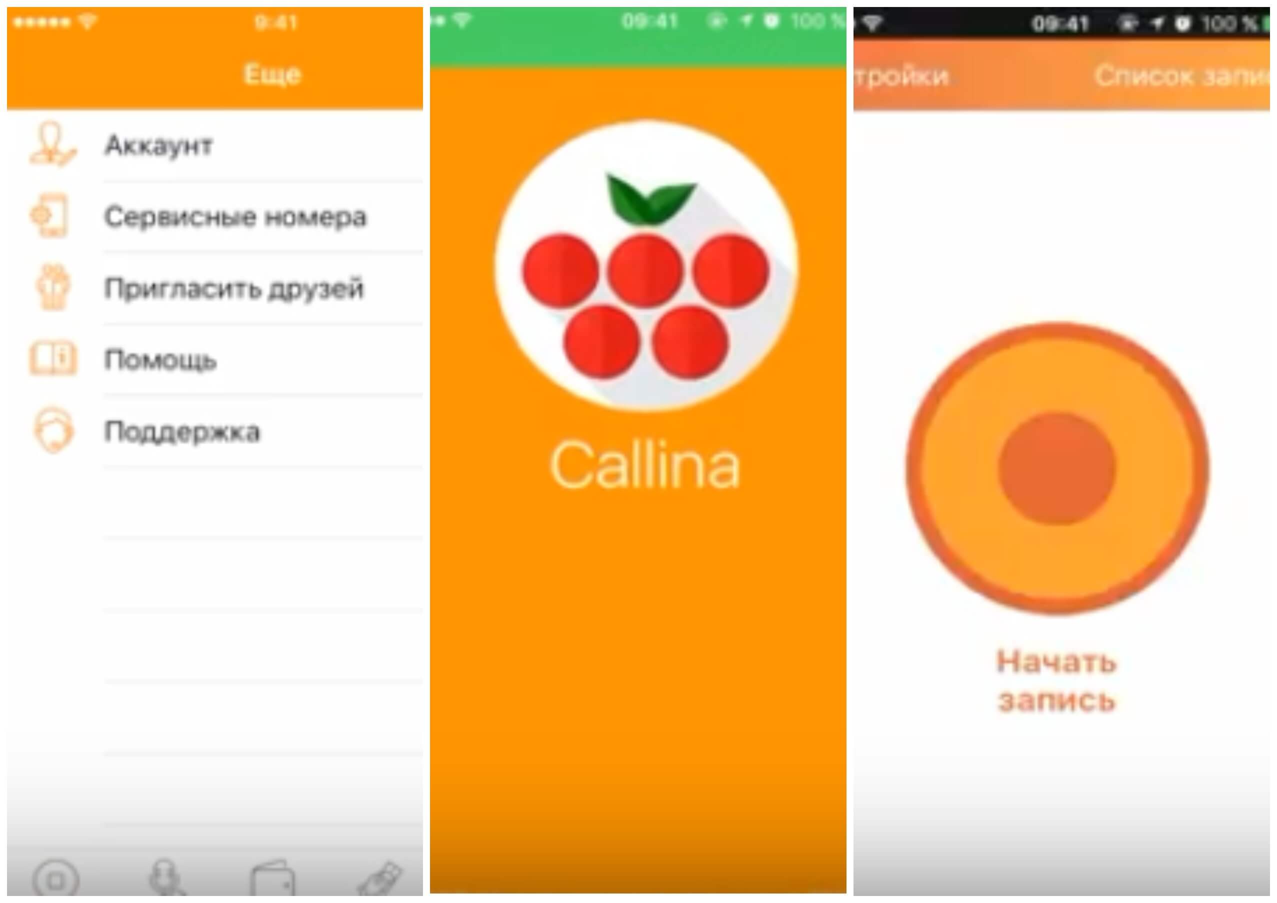 На фото изображено приложение Callina.