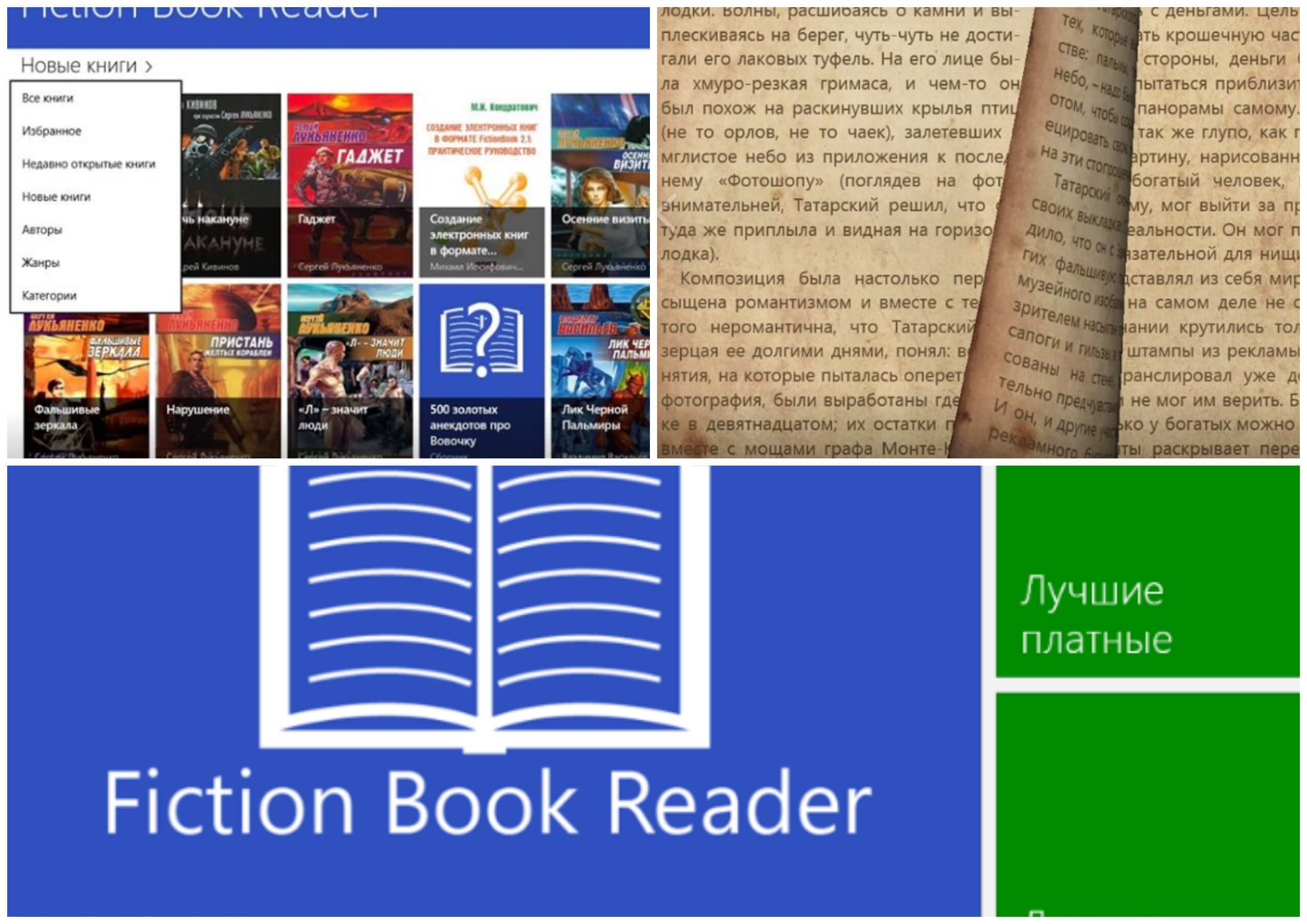 На фото изображено приложение Fiction book reader.