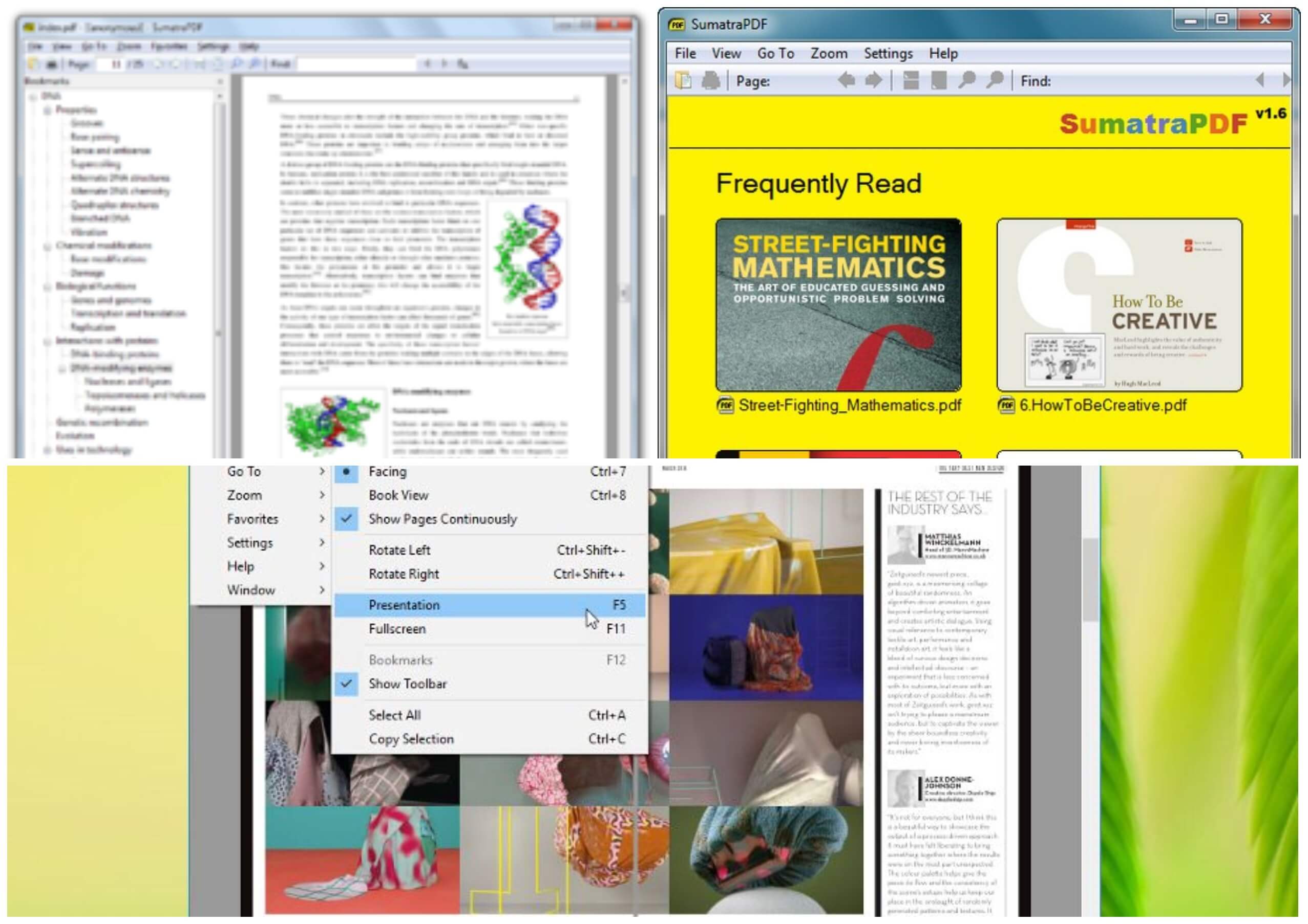 На фото изображено приложение Sumatra pdf.