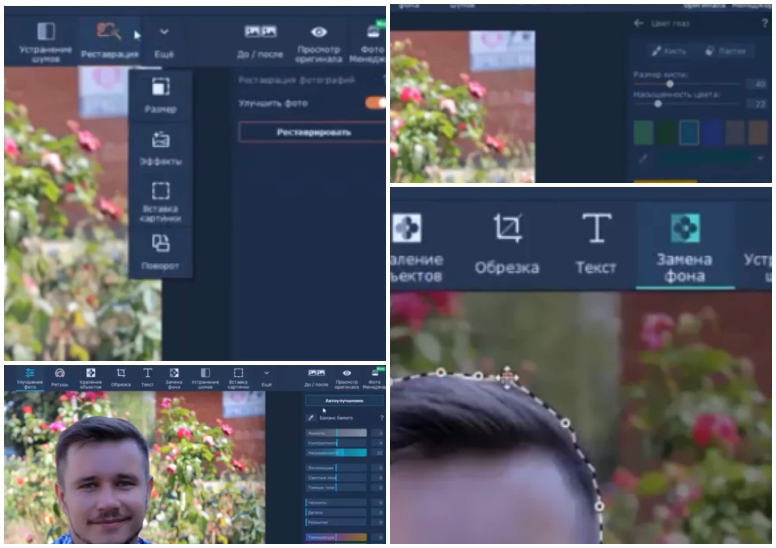 На фото изображена программа для ПК Movavi Photo Manager.