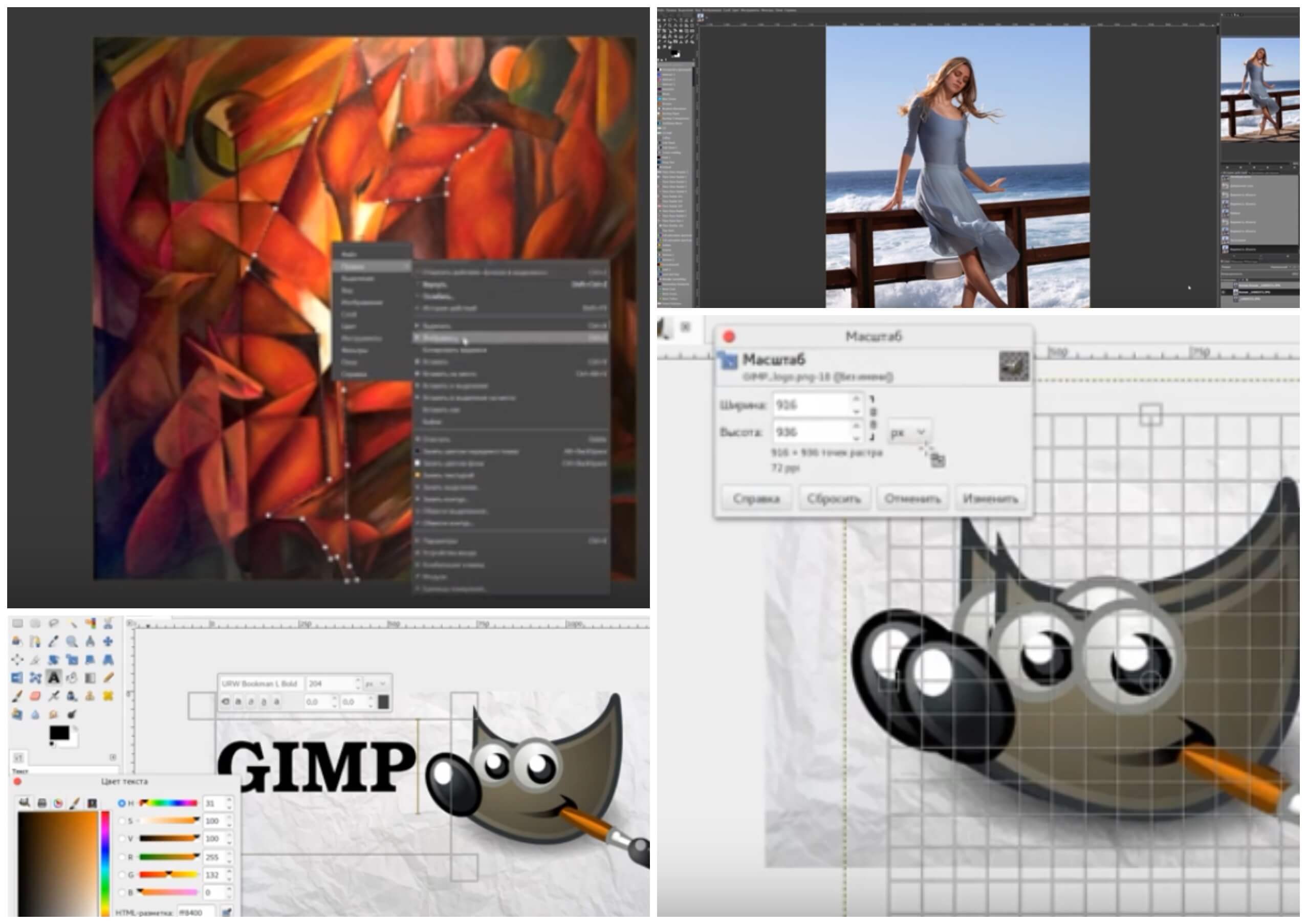 На фото изображена программа для рисования Gimp.