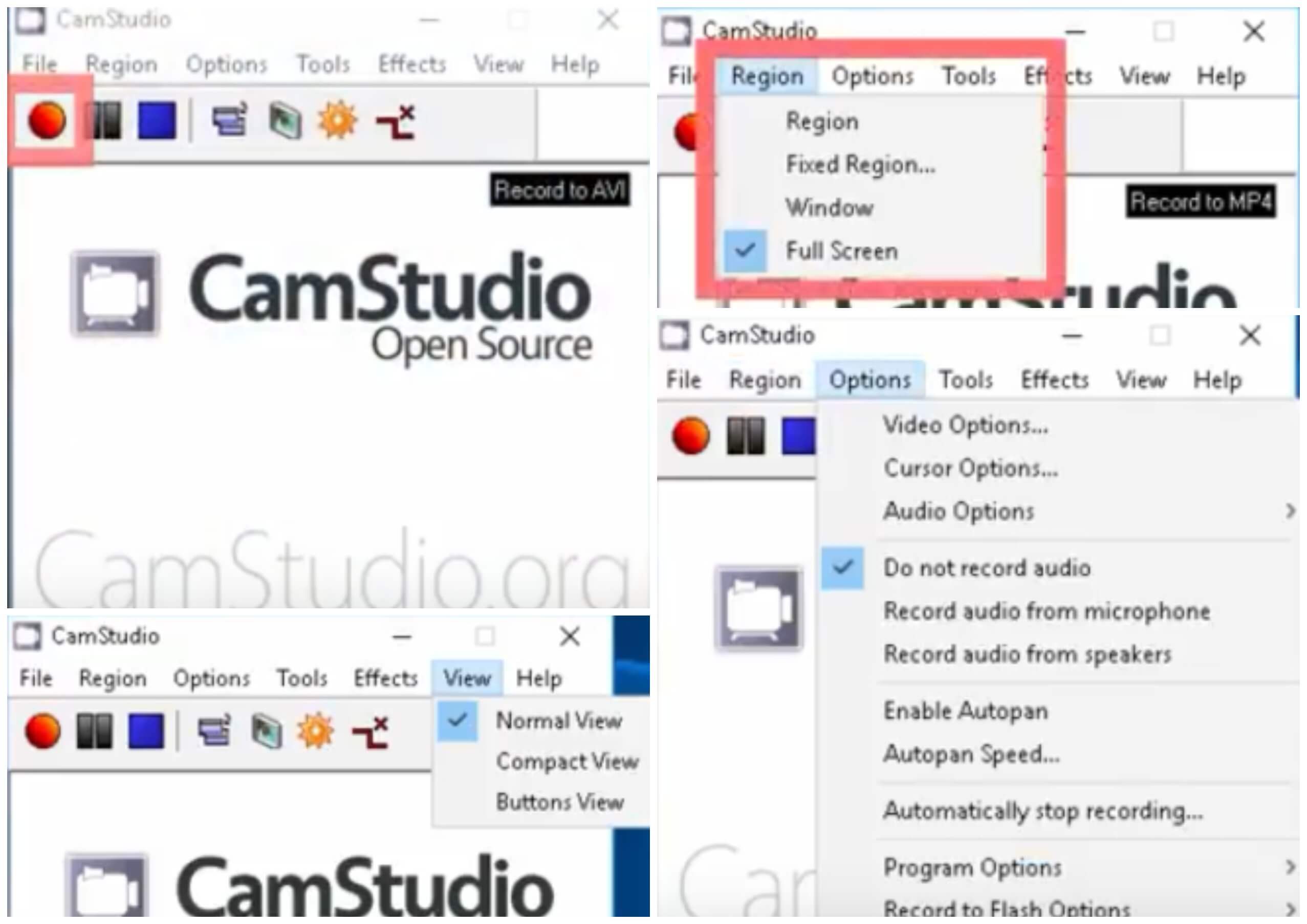 На фото изображена программа CamStudio.