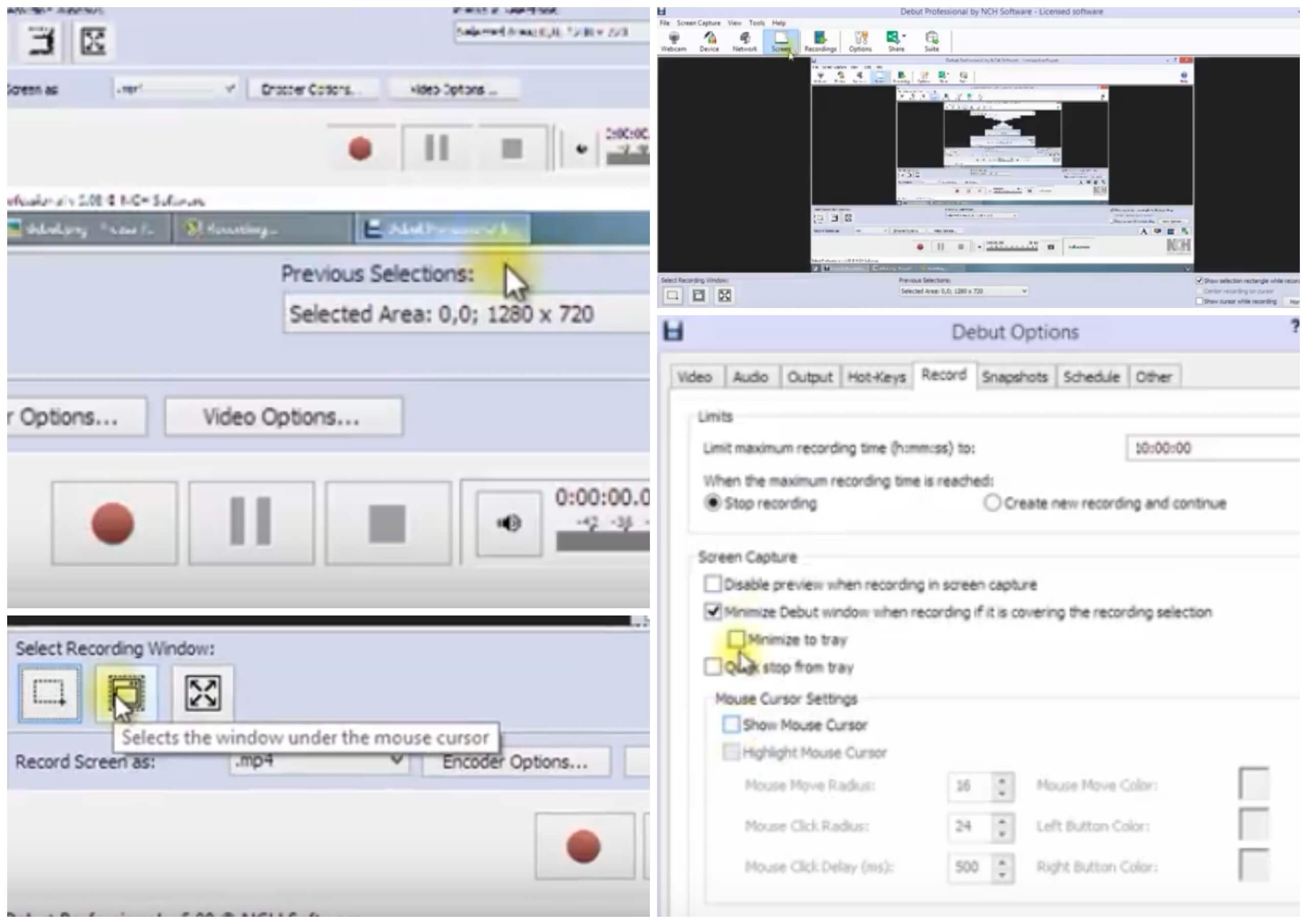 На фото изображена программа для записи видео Debut Video Capture Software.