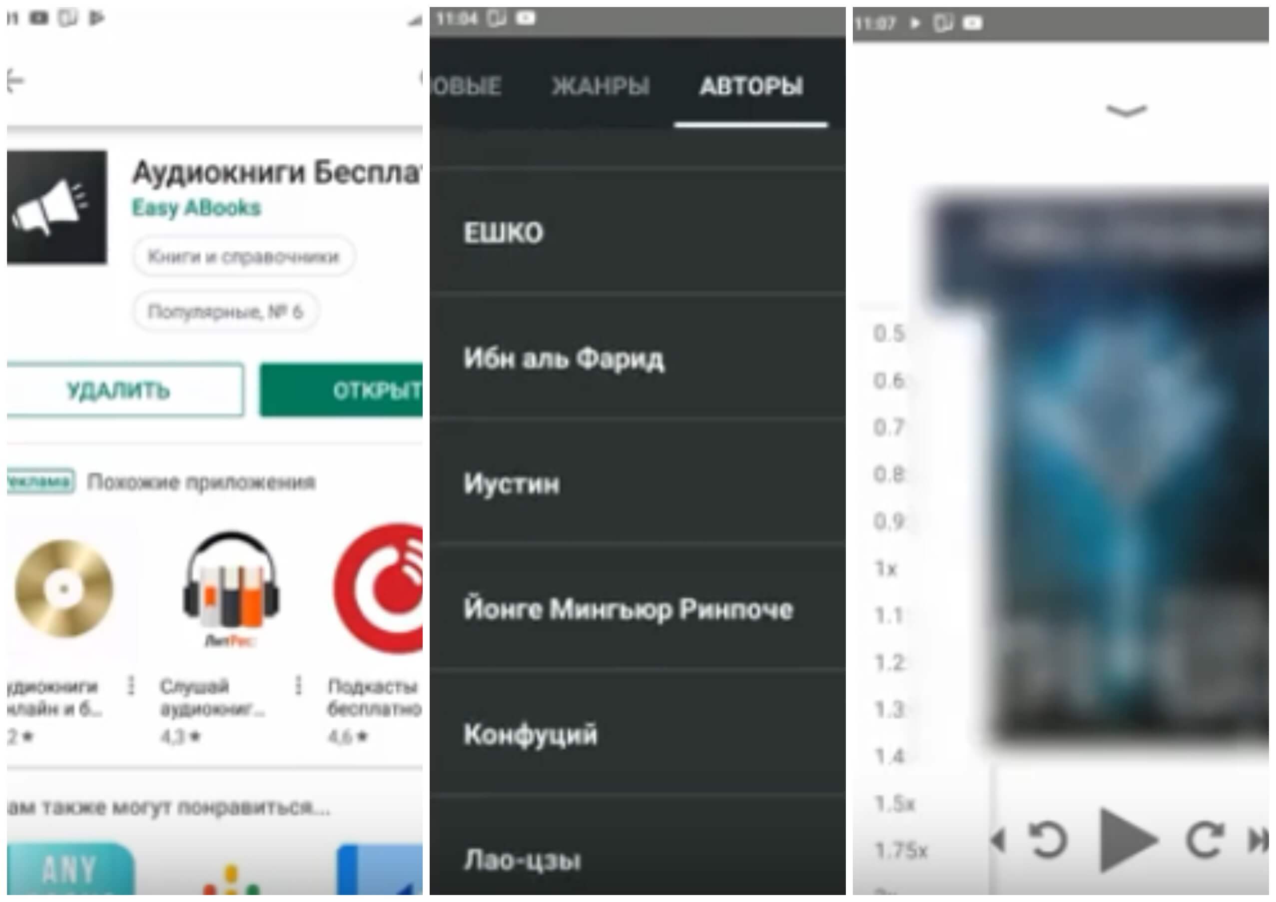 На фото изображено приложение Аудиокниги.