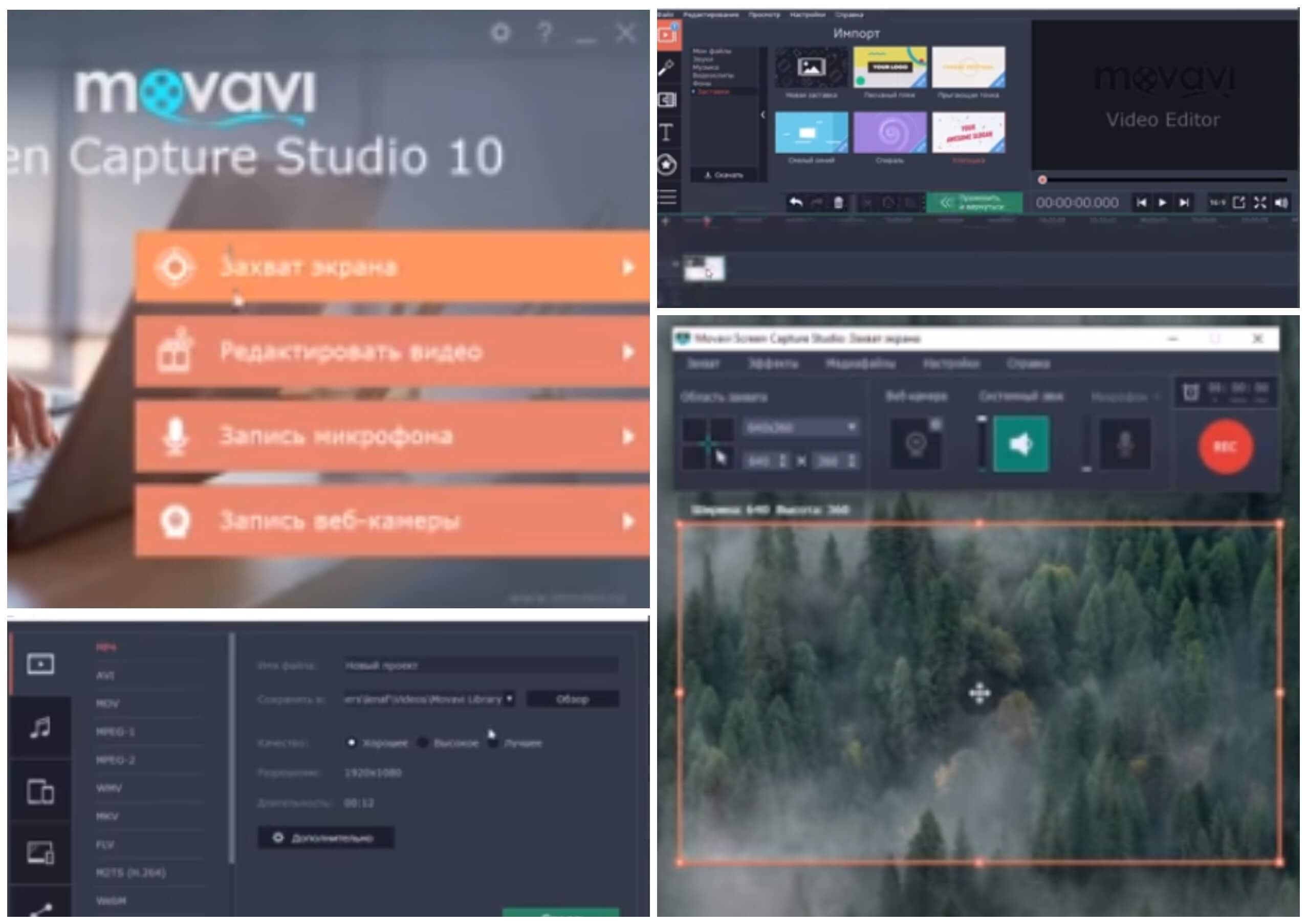 На фото изображена программа Movavi Screen Capture.