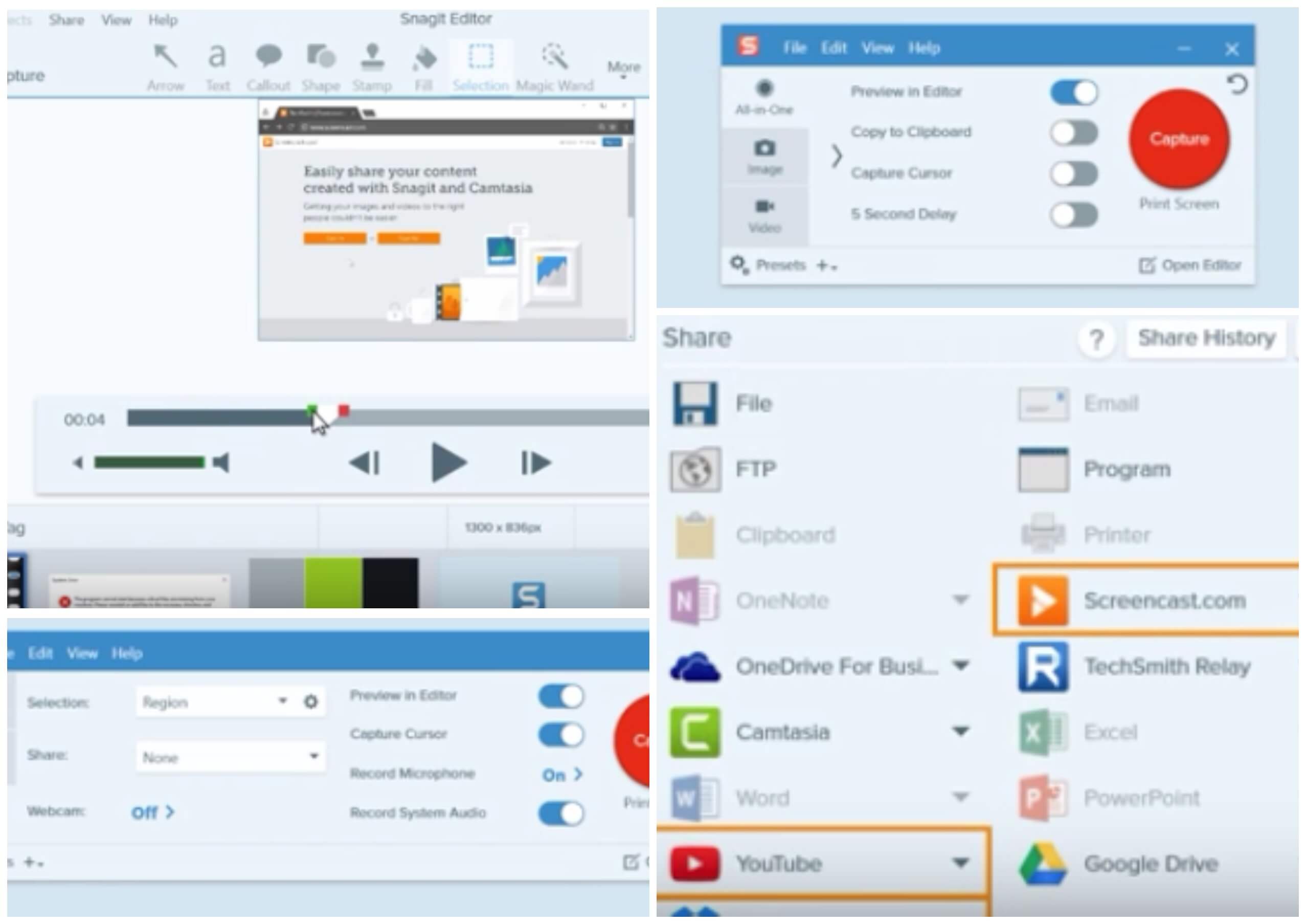 На фото изображена программа Snagit.