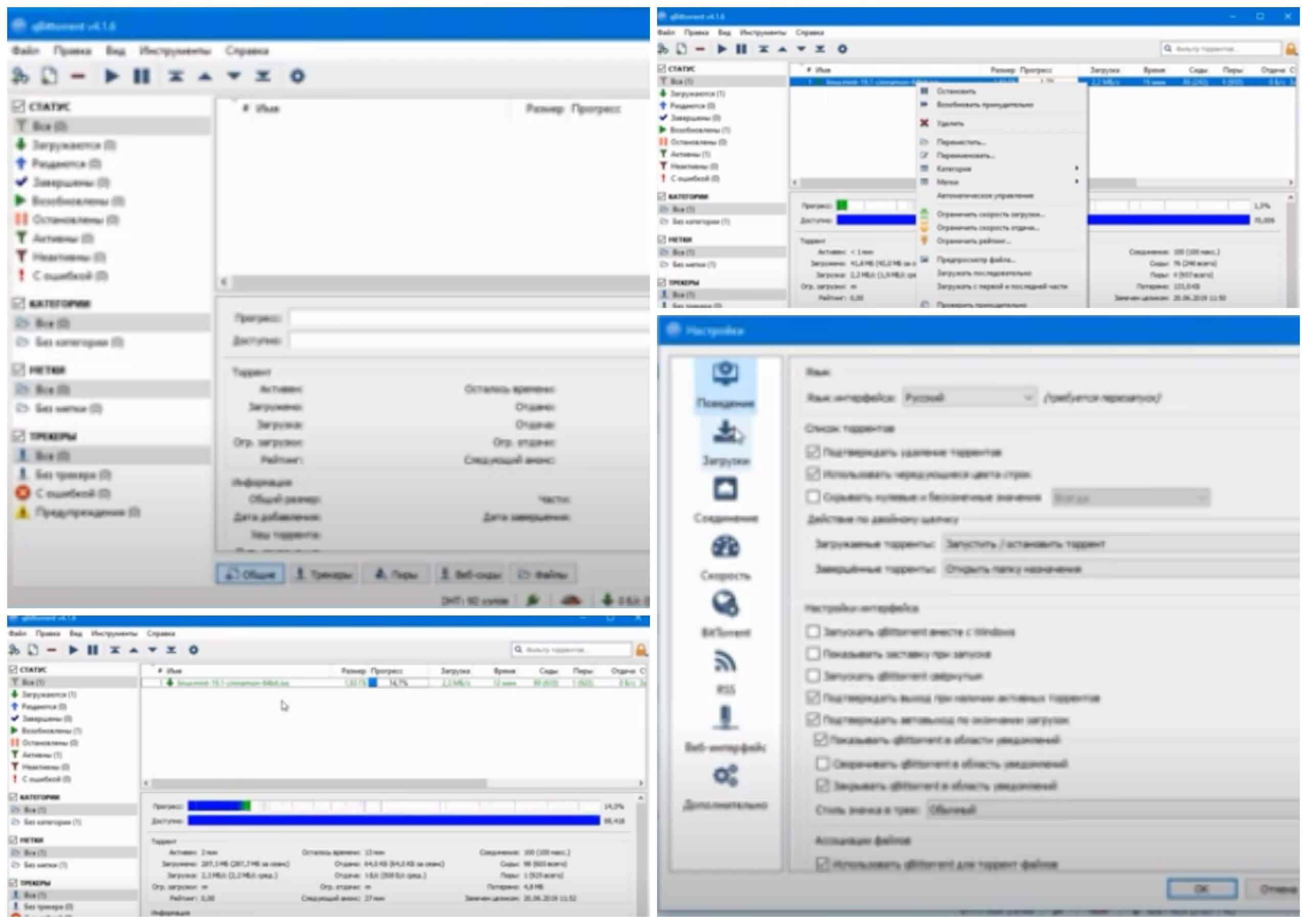 На фото изображена программа qBittorrent.