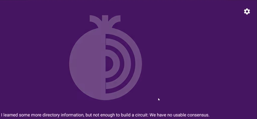 На фото изображен софт Tor browser.